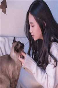 娘娘已经被宠冠六宫，首辅大人才知后悔？