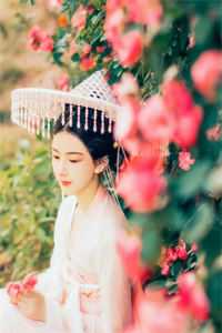 高清月叶青的小说叫什么