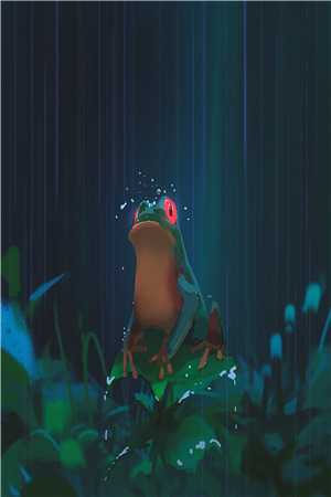 云掩初弦月