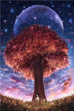 神医王妃太嚣张叶清歌