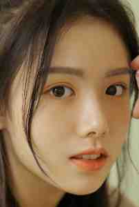 帝婿无双