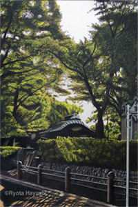 西海归宿大结局阅读