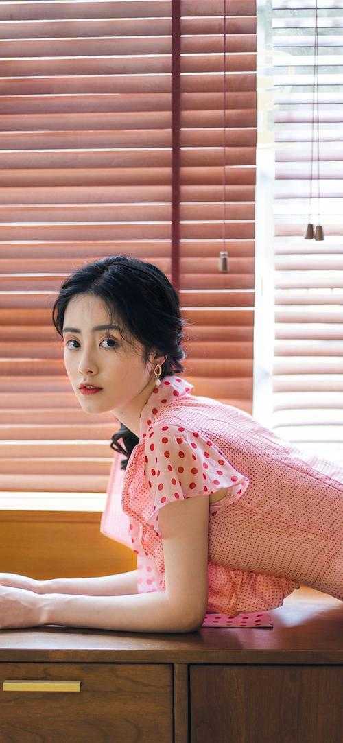 顾芒陆承洲小说