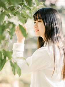 小说快穿：你老婆是我的了徐豆子全章节免费阅读