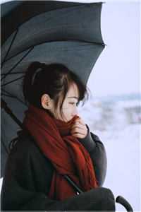 词条掠夺，从练气抢到神话大乘